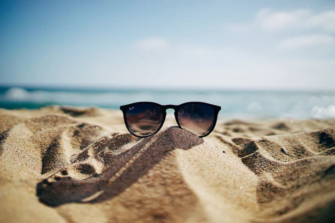 Brown Sunglasses